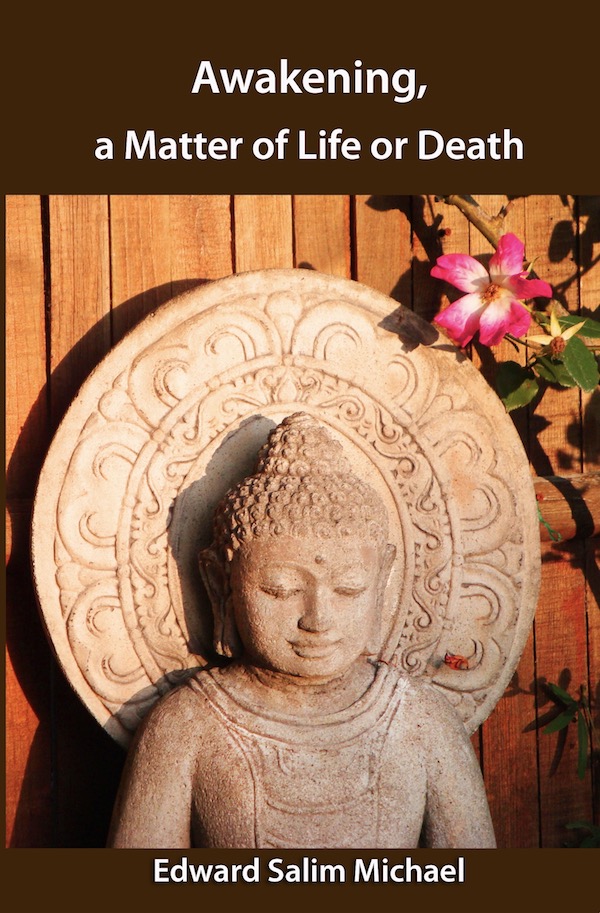 Life And Death The Awakening Awakening, a Matter of Life or Death - Meditation Presence